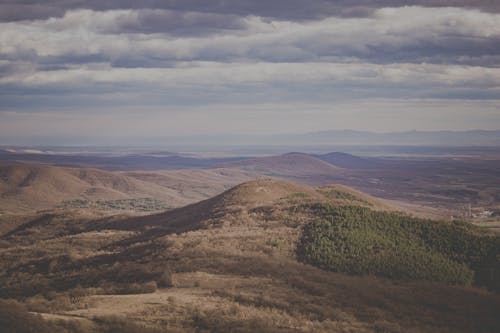 Pic1